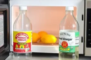 limpar micro-ondas com vinagre