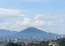 RSS Feed