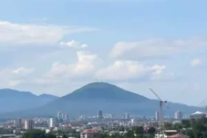RSS Feed