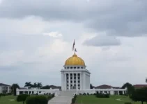 feeds RSS