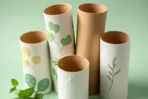 tubos de papel higiênico