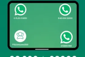 Fluminense Telefone