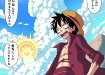 One Piece: Arcos, Sagas e episódios