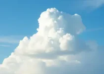 RSS Feed