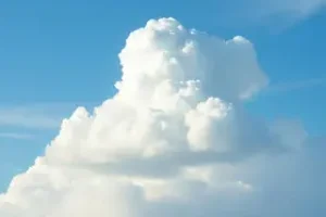RSS Feed